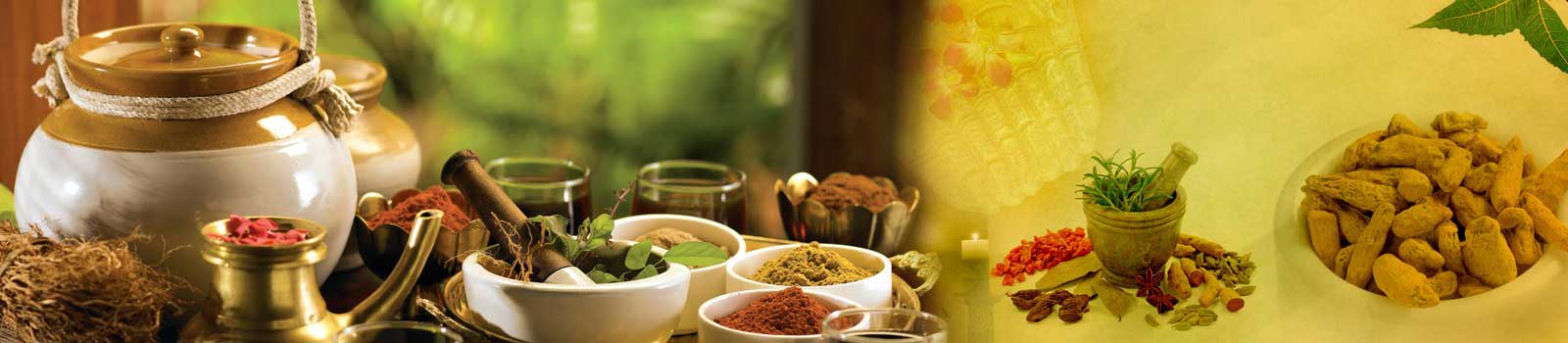 Ayurvedic Doctor in Pune